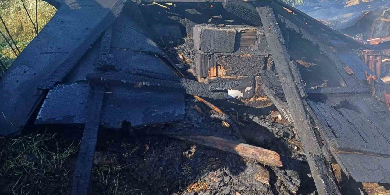 Babaeski’de 3 Ahır Çıkan Yangında Küle Döndü