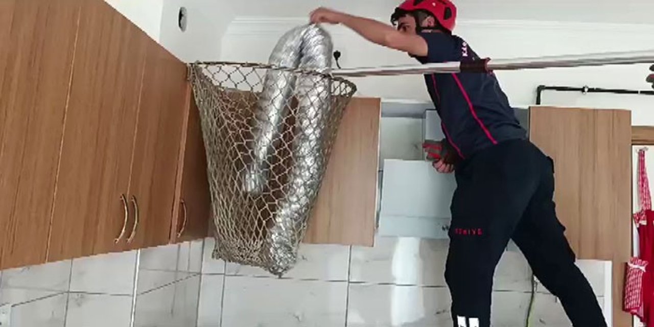 Bacada Sıkışan Güvercini İtfaiye Kurtardı