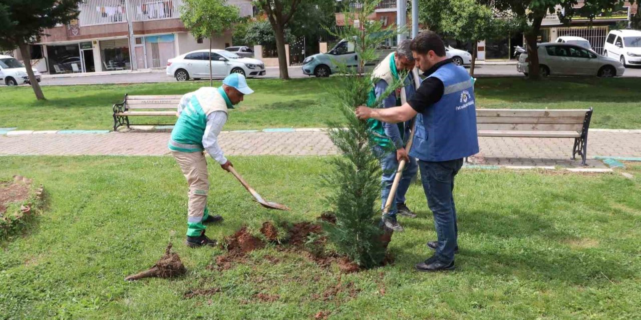 Peyzaj Çalışması İle Parklar Güzelleştiriliyor