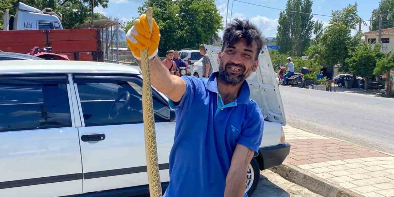 Çanakkale’de Otomobilin Motor Kısmından Engerek Yılanı Çıktı