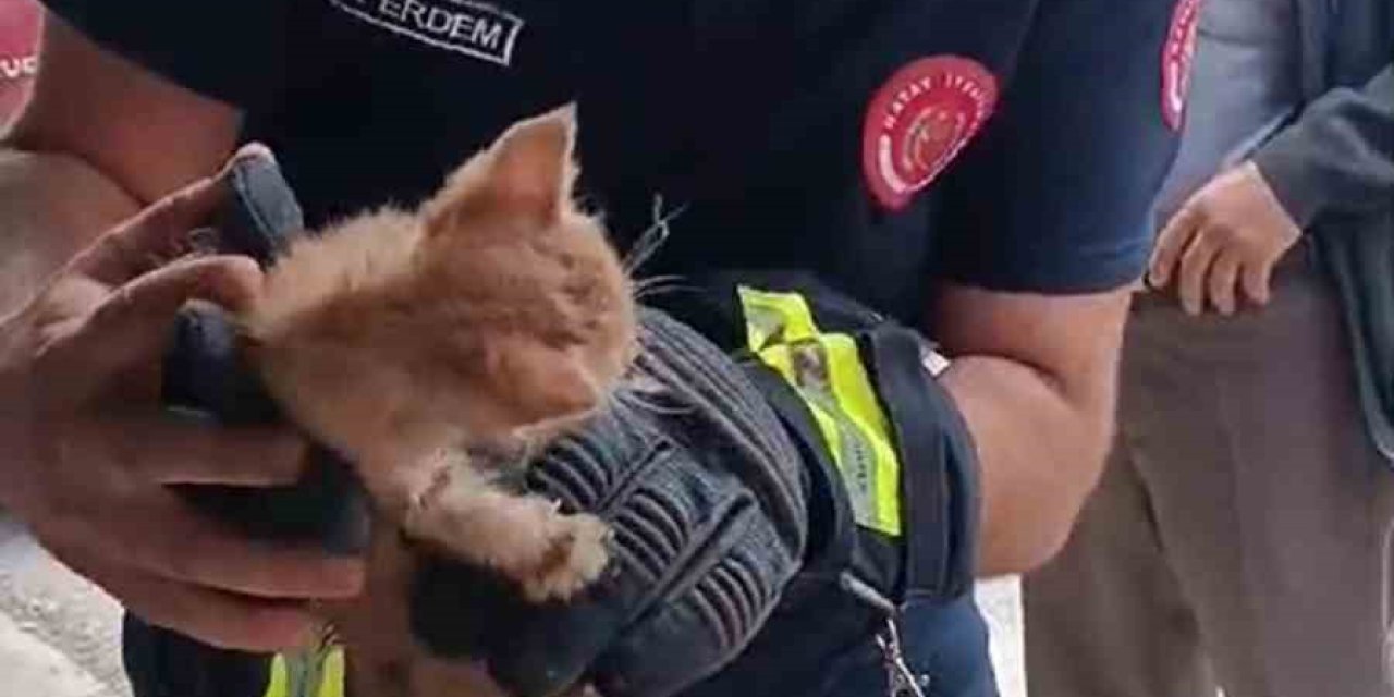 Boruya Sıkışan Yavru Kedi, İtfaiye Ekipleri Tarafından Kurtarıldı