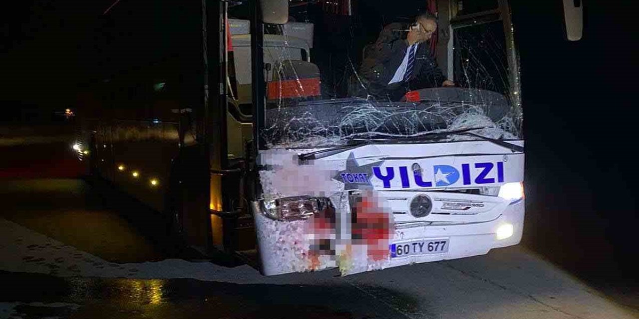 Yola Çıkan Ata Otobüs Çarptı