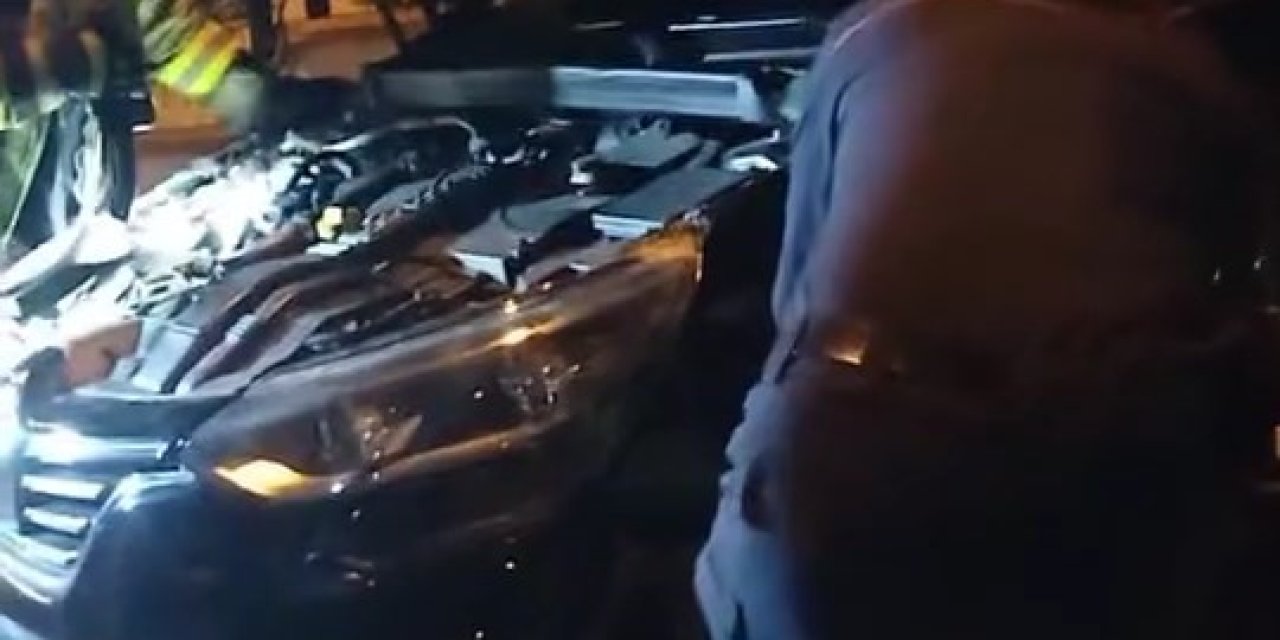 Otomobile Giren Yılan Böyle Çıktı