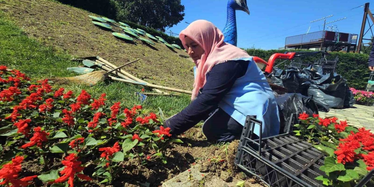 Osmangazi Çiçek Açıyor