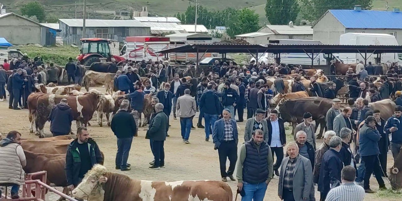 Kurbanlıklar Görücüye Çıktı