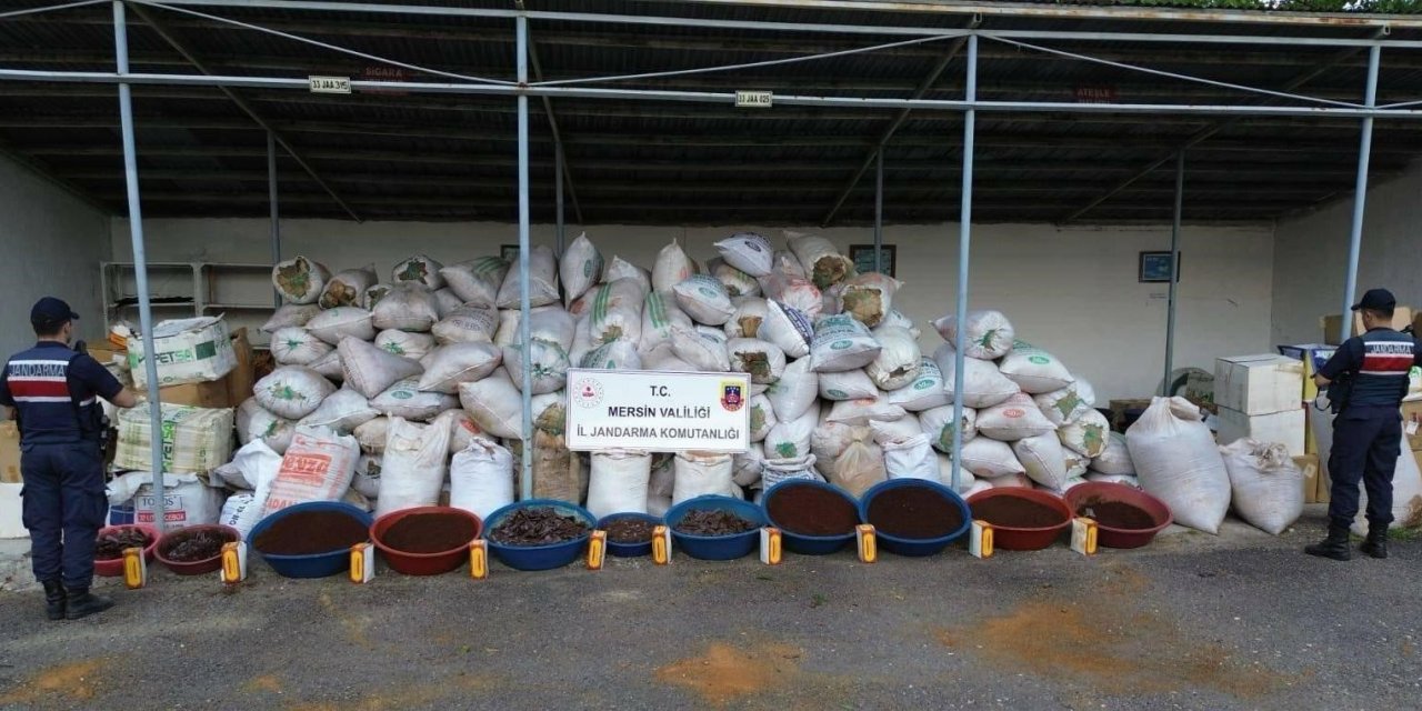 Mersin’de 10 Ton Kaçak Tütün Ele Geçirildi