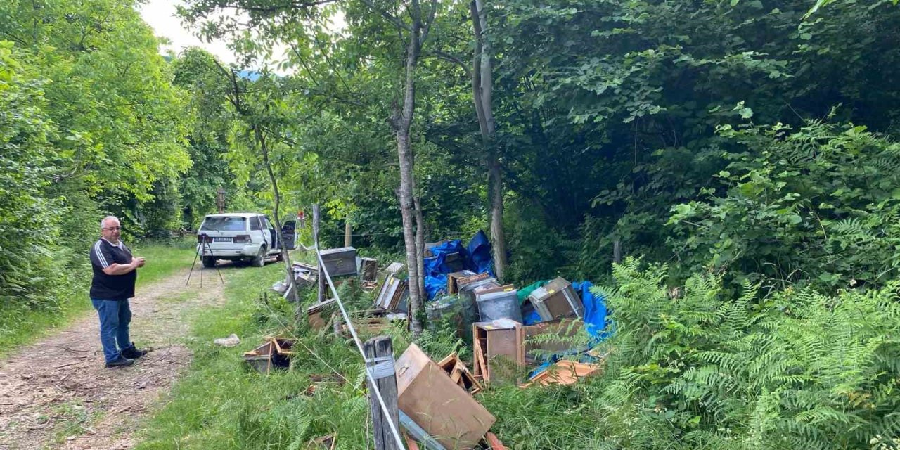 Elektrikli Çitleri Aşarak Kovanlarını Parçalayan Ayıya "Helal Olsun" Dedi
