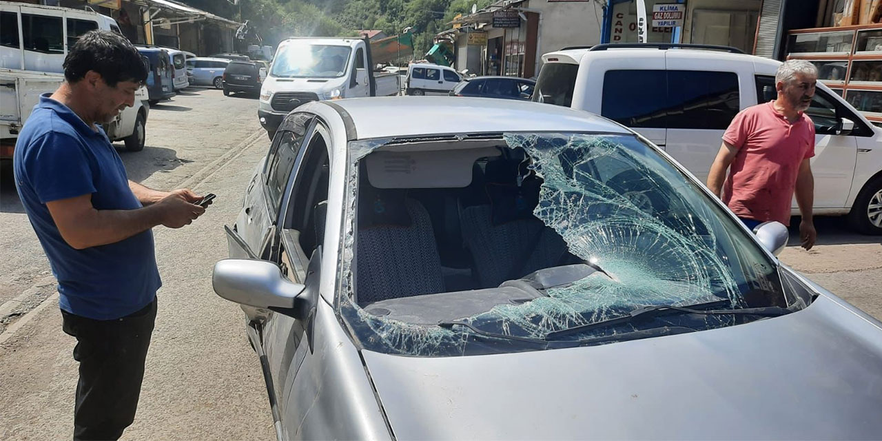 Trabzon'da yaylada ayı park halindeki otomobile zarar verdi