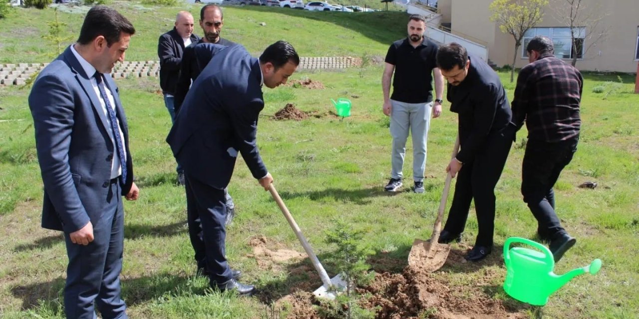 Tatvan Devlet Hastanesi Bahçesinde Fidan Dikme Etkinliği