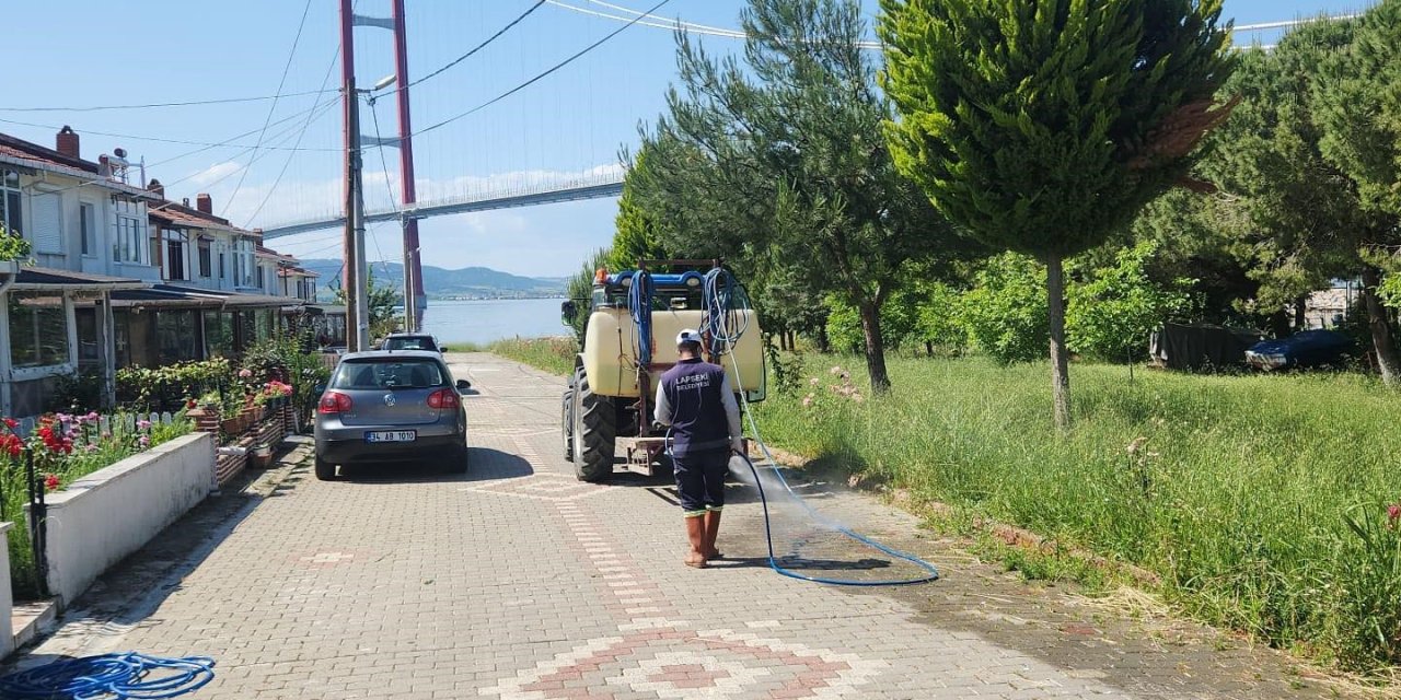 Lapseki’de Kene Ve Haşere İlaçlama Çalışmaları Gerçekleştirildi