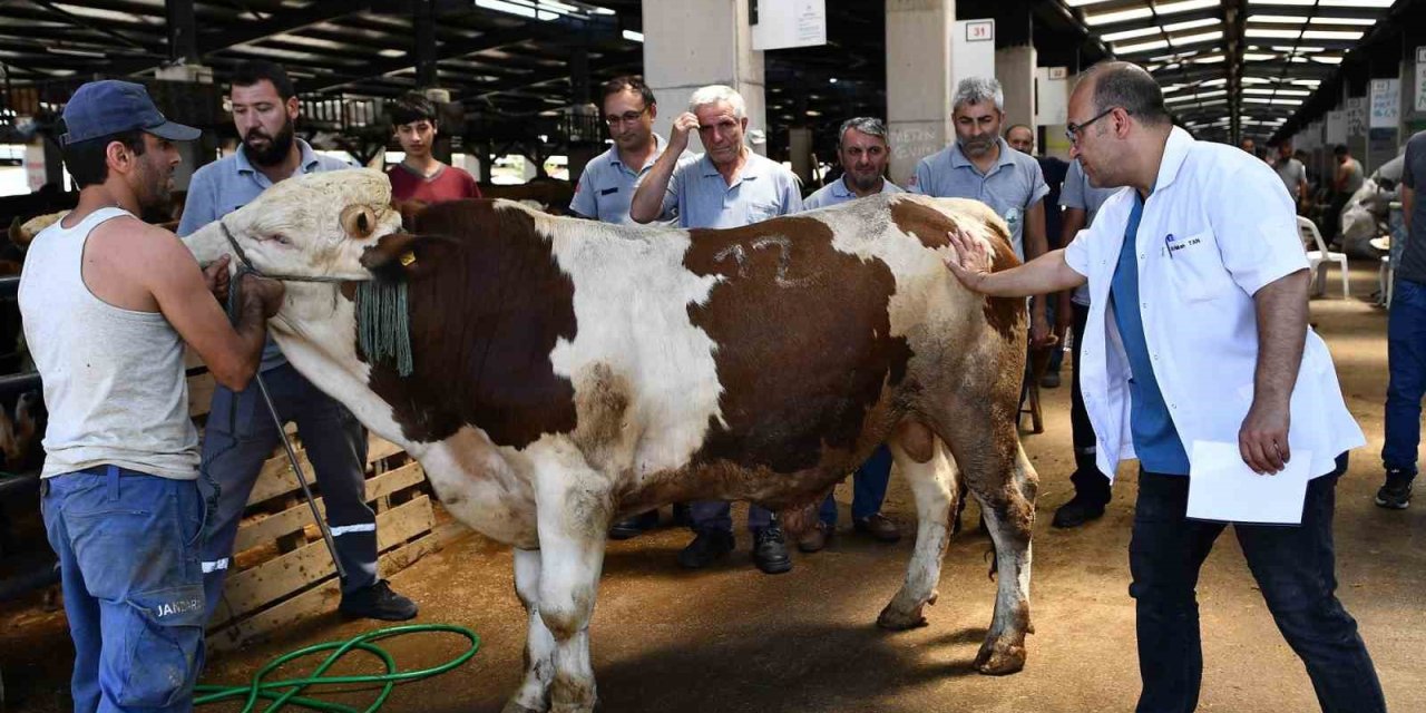 Osmangazi Belediyesi Kurban Bayramına Hazır