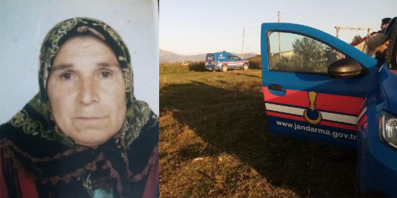 Ordu'da büyükbaşın saldırdığı yaşlı kadın öldü