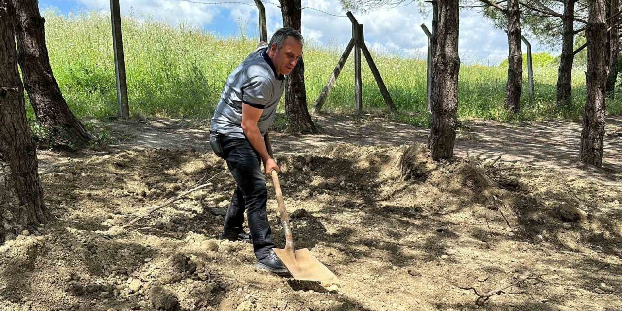 Definecilerin Talan Ettiği Şehit Mezarlığı Ve Çevresine Mahalleli Sahip Çıktı