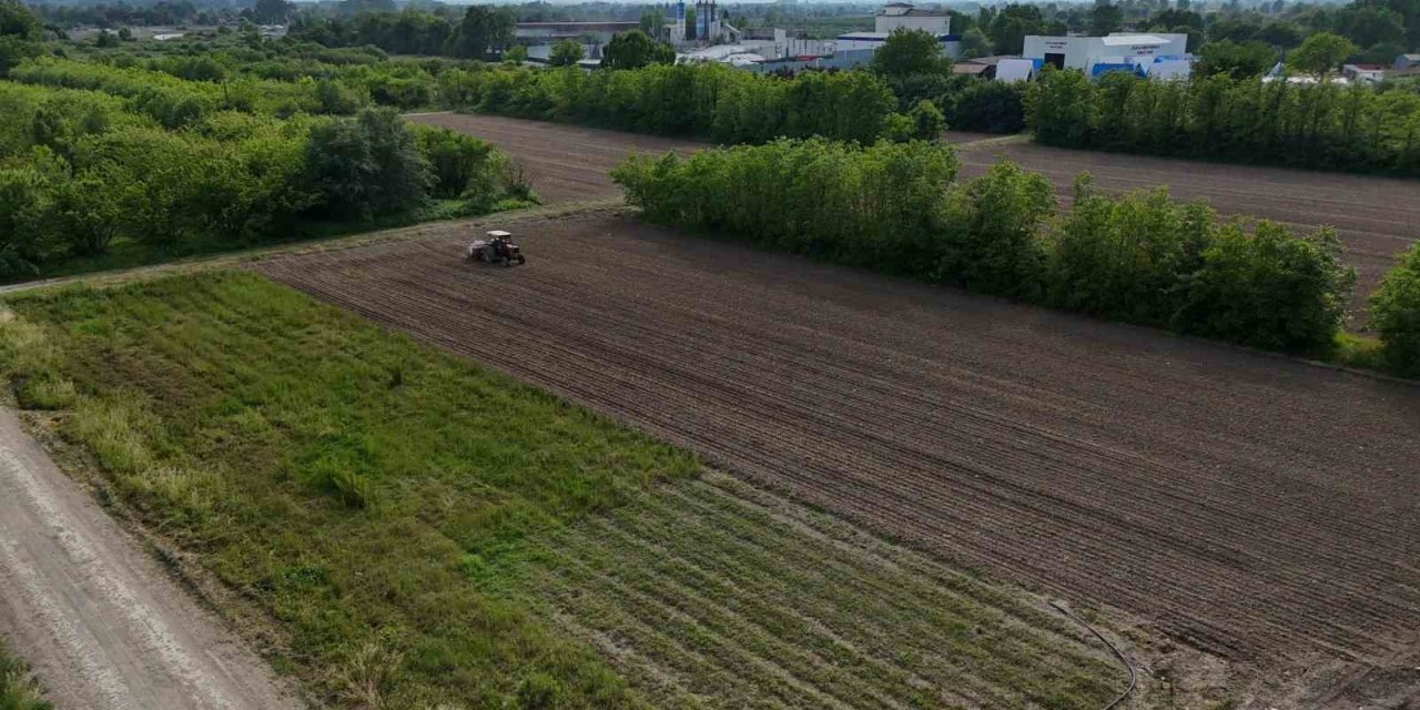 Düzce Belediyesi’nden Tarımsal Üretime Katkı