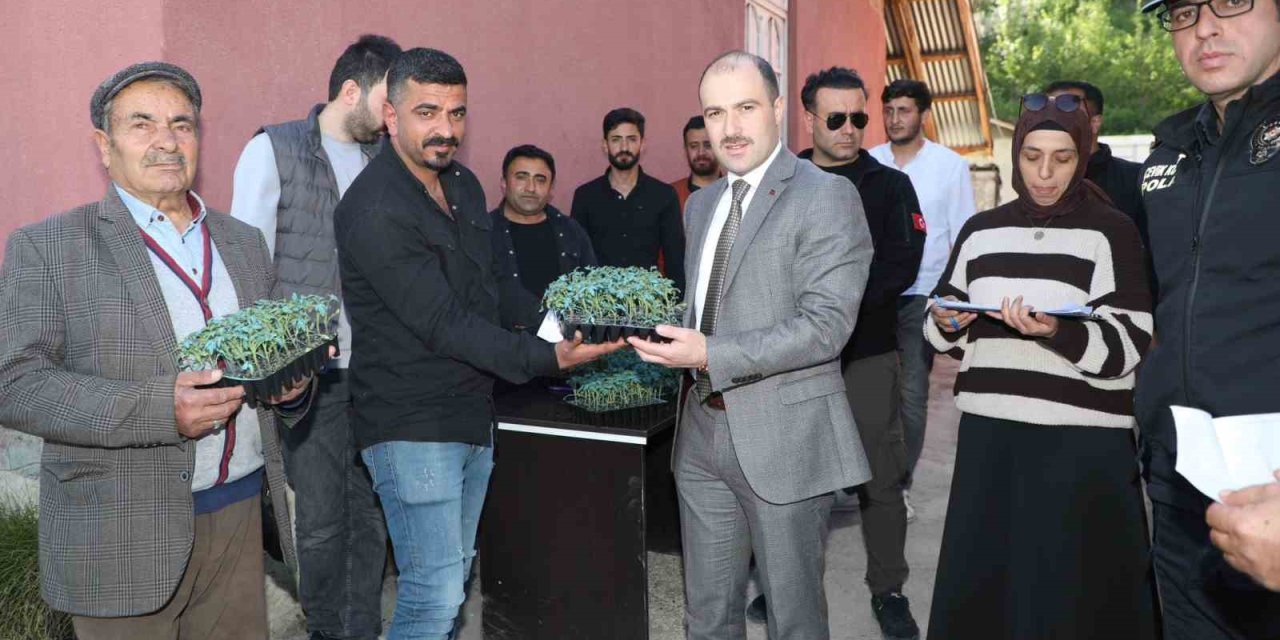 Başkale’de Domates Fidesi Dağıtıldı