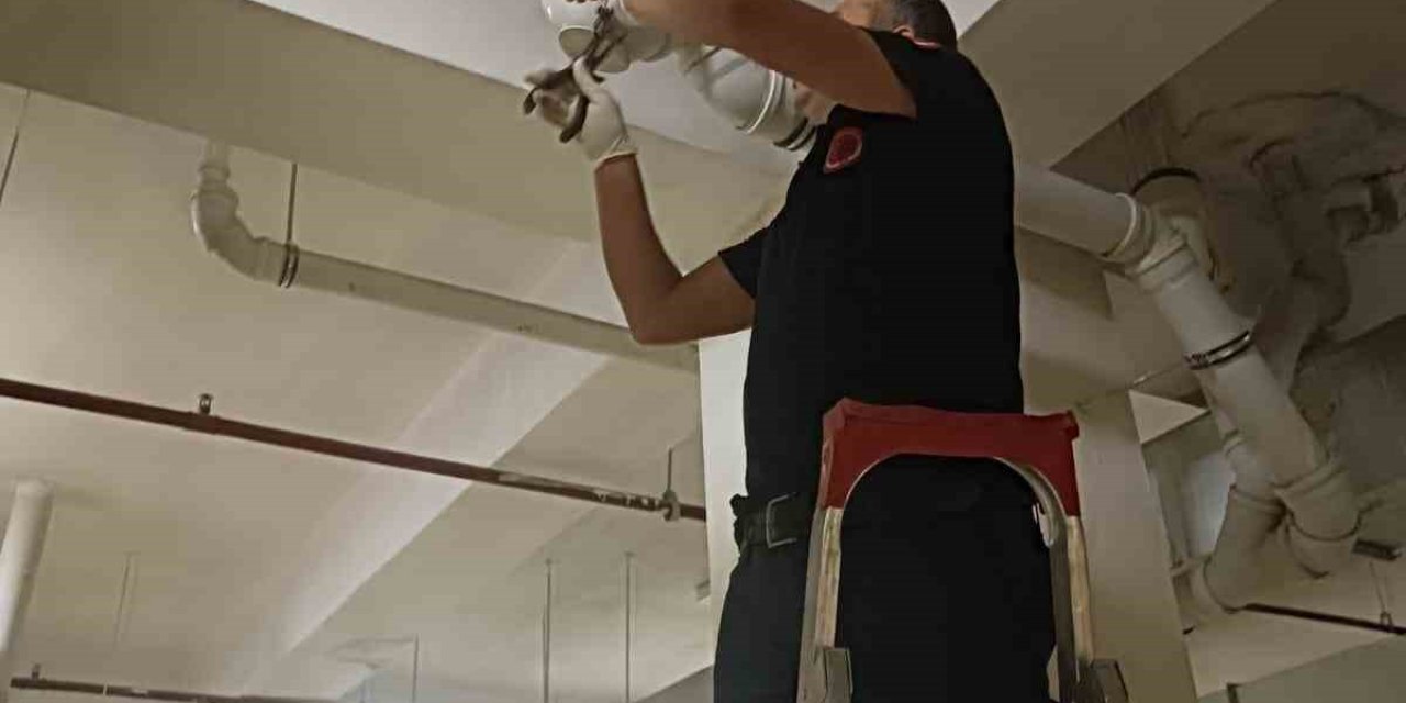 Boruya Sıkışan Yavru Kedi İtfaiye Ekipleri Tarafından Kurtarıldı