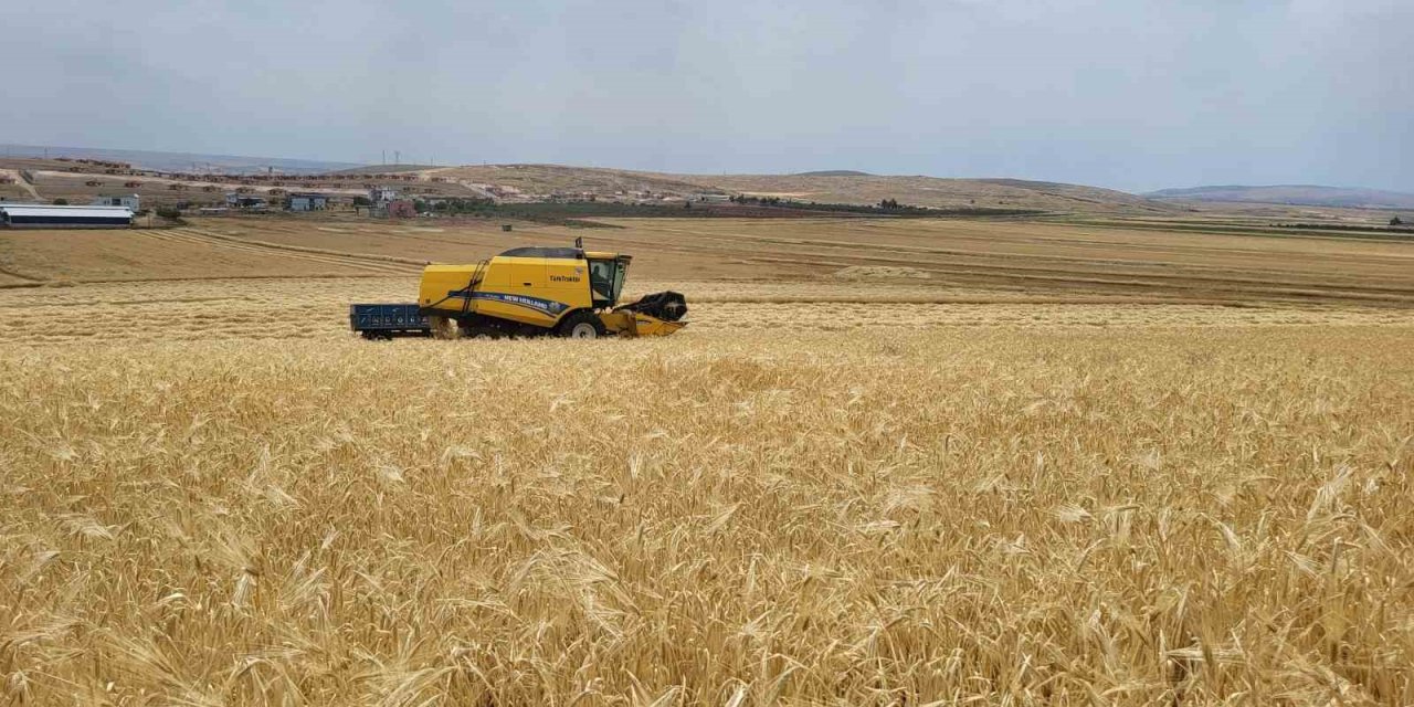 Biçerdöverlerin Arpa Tarlalarına Girdiği Adıyaman’da Hasat Başladı