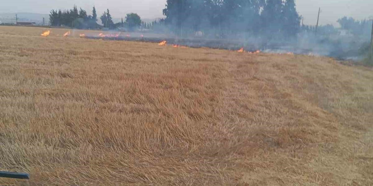 Kumlu’da Anız Yangını