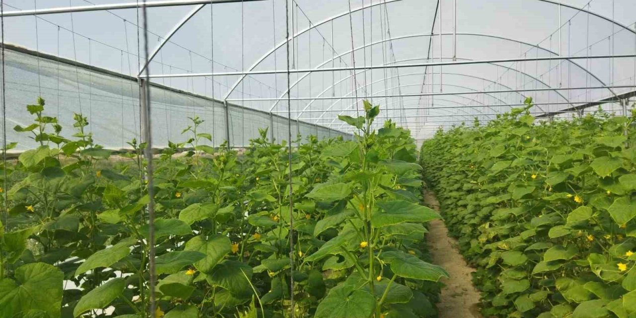 İl Tarım Ve Orman Müdürlüğü Kırsal Kalkınma Destekleri Sonuçlarını Açıkladı