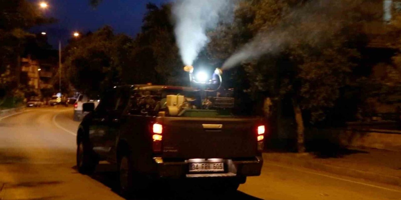 Efeler’de Gece İlaçlamaları Başladı