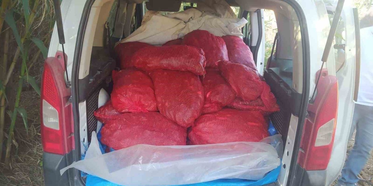 Bandırma’da Kaçak Midye Operasyonu: 79 Bin 500 Tl Ceza