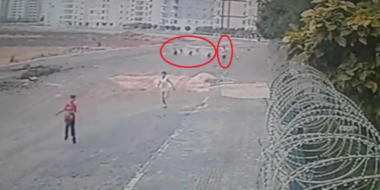 10 Yaşındayken 8 Sokak Köpeğinin Saldırısına Uğrayan Yasin Dehşet Anlarını Anlattı