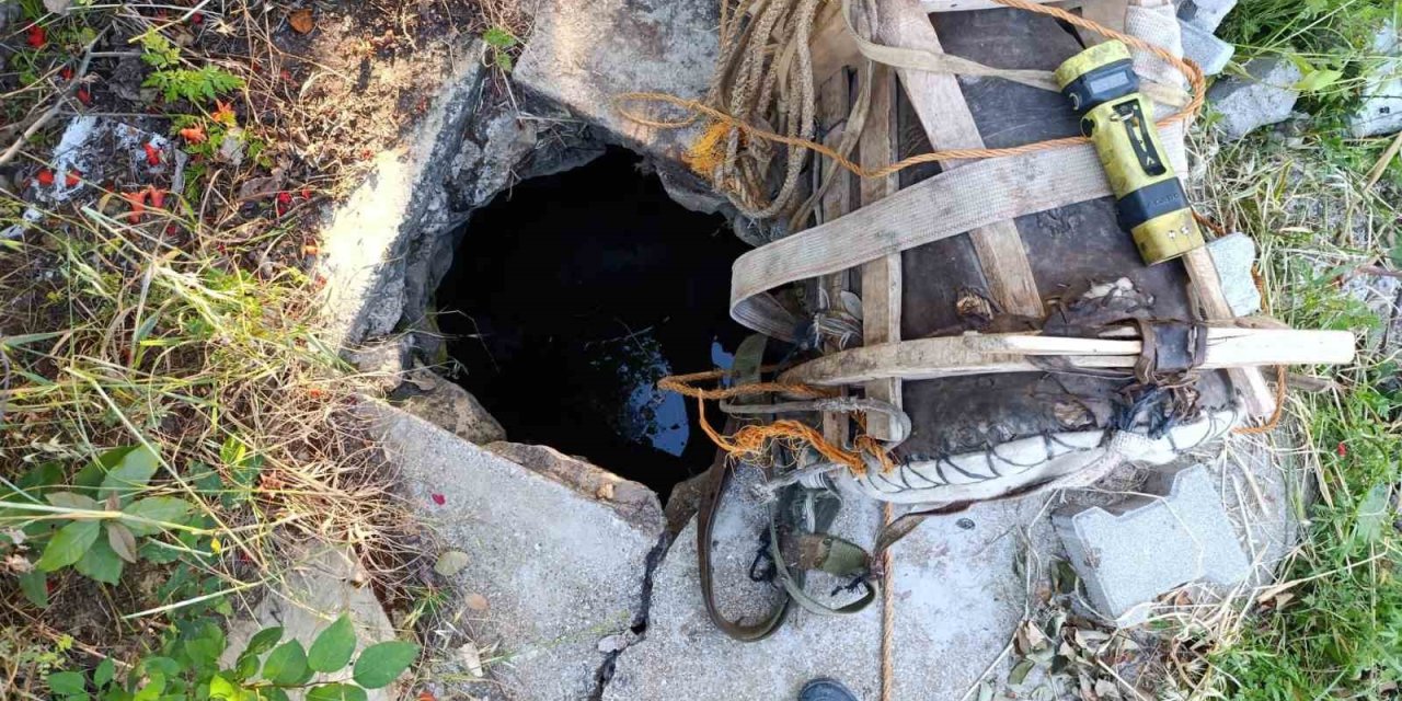 Hatay’da Kuyuya Düşen Eşek Telef Oldu