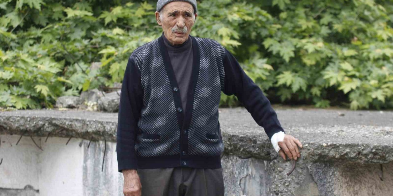 Başıboş Köpeklerin Saldırısına Uğrayan 80 Yaşındaki Depremzede Korku Dolu Anları Anlattı