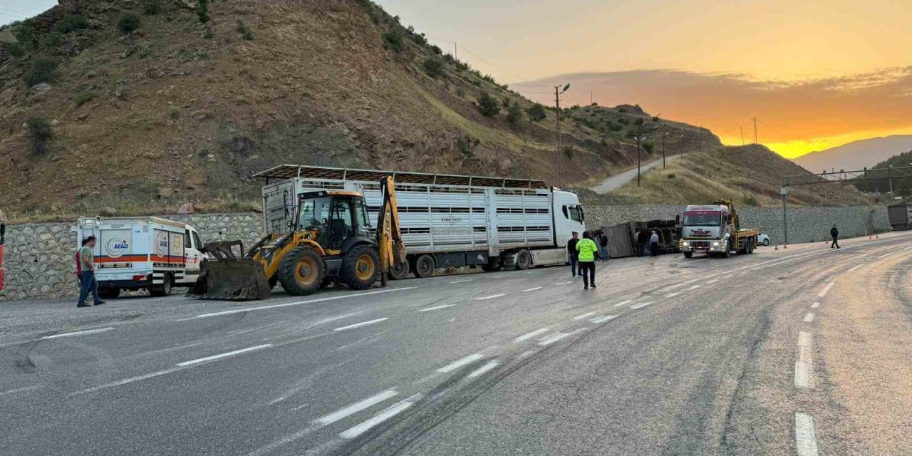 Siirt’te Tır Devrildi: 2 Kişi Yaralandı, 40 Küçükbaş Hayvan Telef Oldu