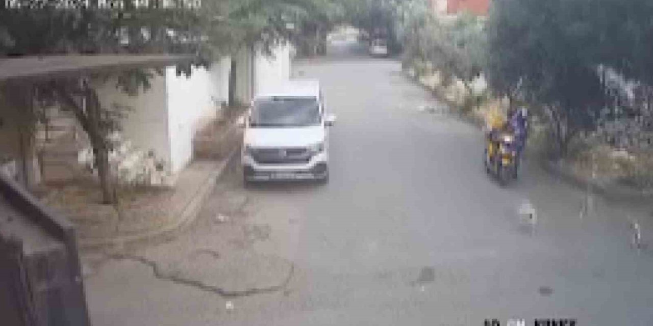 Bilye Atan Havalı Tabancayla Köpeğe Ateş Açtı