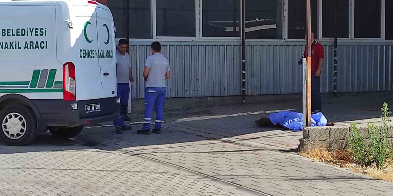 Fethiye’de Cesedi Bulunan Şahsın Arkadaşı Tutuklandı