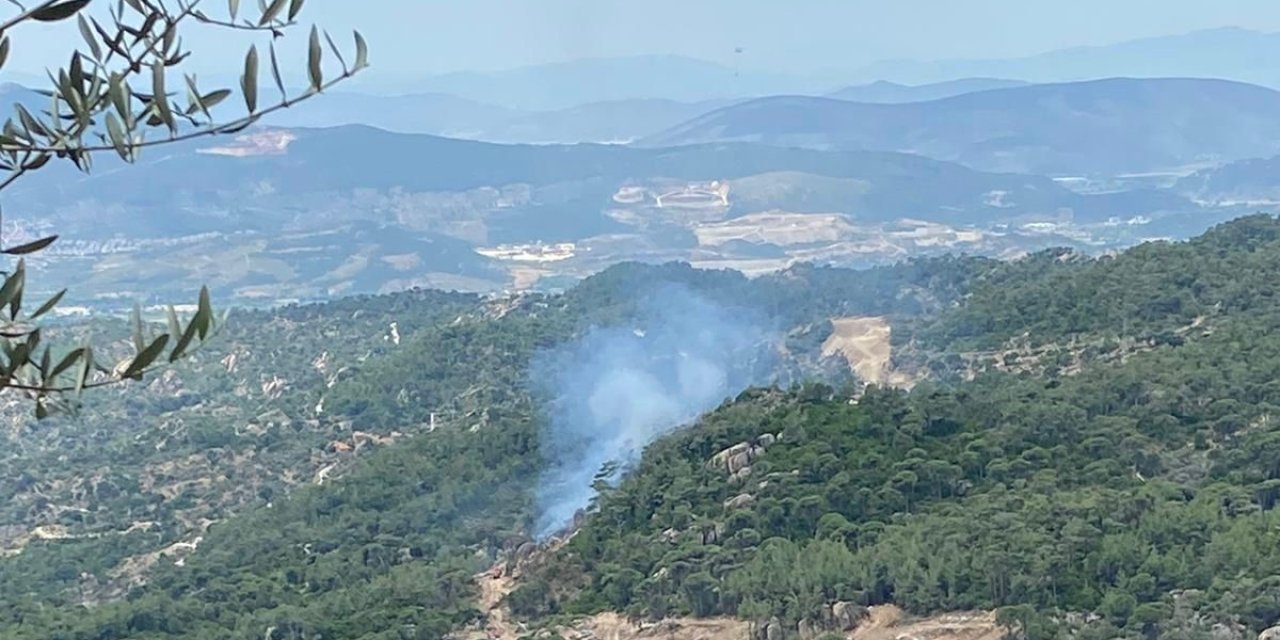 Milas’taki Orman Yangını Büyümeden Söndürüldü