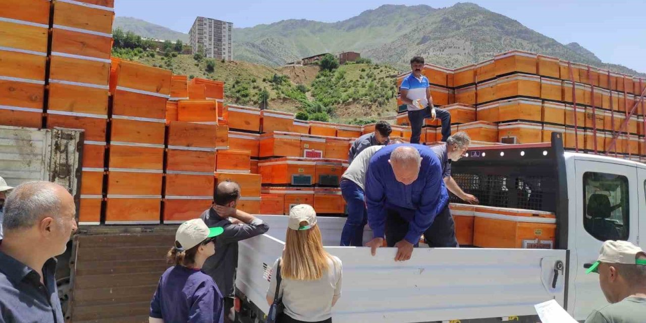 Devletin Desteğiyle Organik Bal Üretimi Ve Arı Besiciliği Yaygınlaşıyor