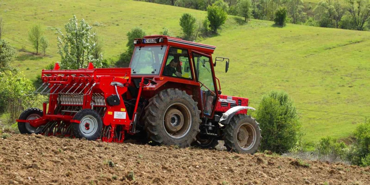 Ordu’da Karabuğday Üretimi İçin Ekim Yapıldı