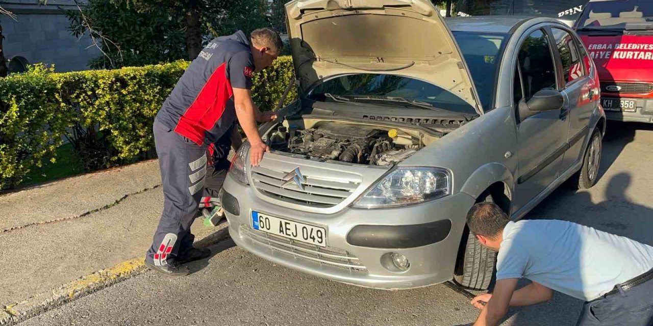 Araç Motorundan Kurtarıldı, Bu Sefer De İtfaiye Aracının Motoruna Girdi