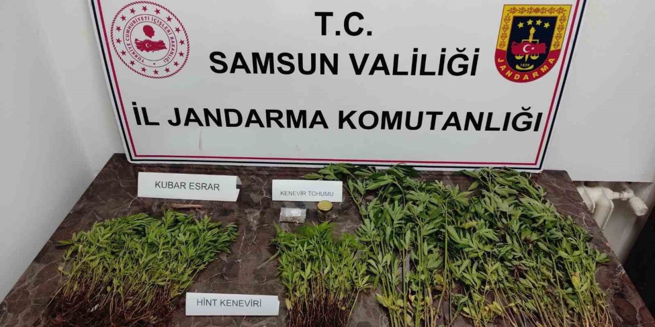Jandarmadan Kenevir Operasyonu
