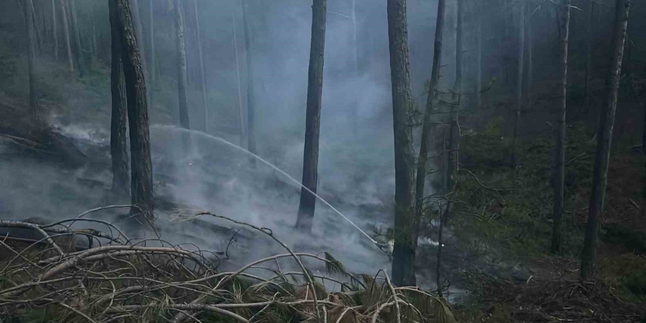 Menteşe’deki Orman Yangını Büyümeden Söndürüldü