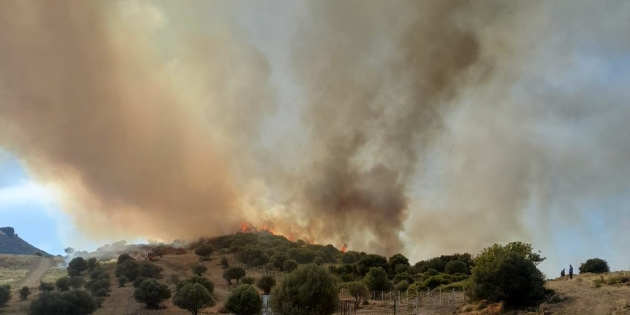 İzmir’de Otluk Ve Zeytinlik Alanda Yangın