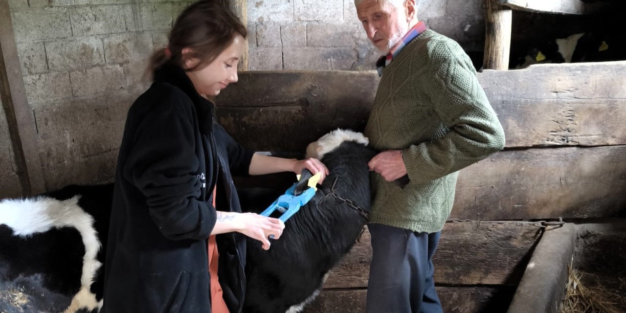 Vize’de Küpeleme Ve Kayıt Altına Alma Çalışması