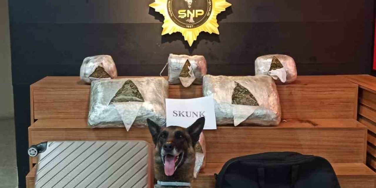 Şanlıurfa’da 10 Kilo 600 Gram Skunk Ele Geçirildi