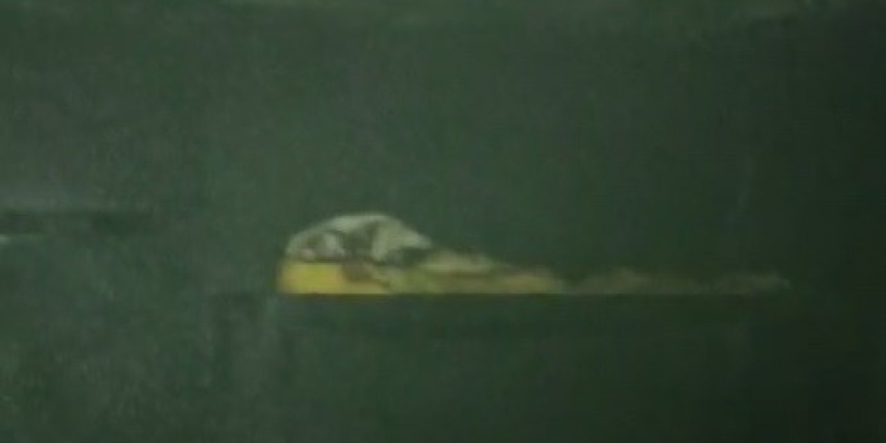 Bingöl’de İşçilerin Kaldığı Konteynerde Yangın: 1 Ölü, 1 Yaralı