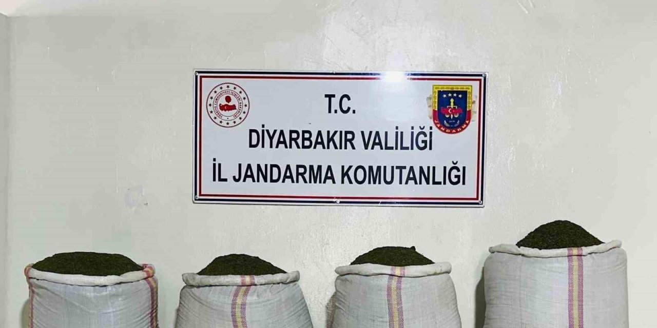 Diyarbakır’da 34 Bin 500 Kök Kenevir Ve 112 Kilo Esrar Ele Geçirildi