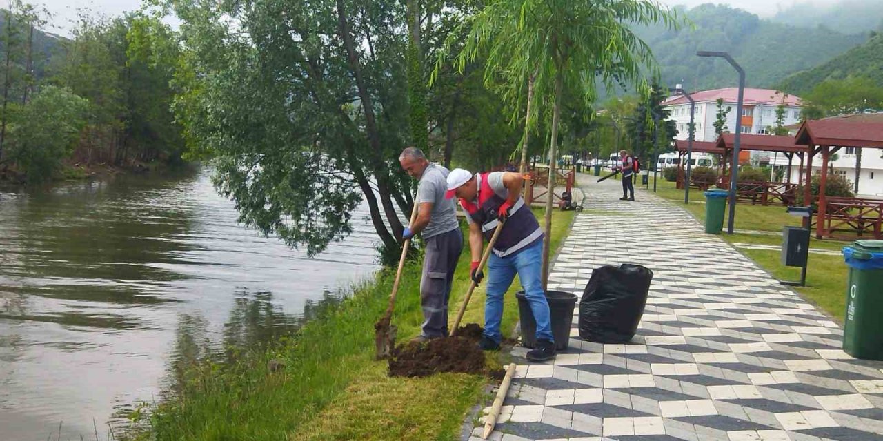 Turnasuyu Kordon Park’ta Yeşillendirme Çalışmaları Başlatıldı