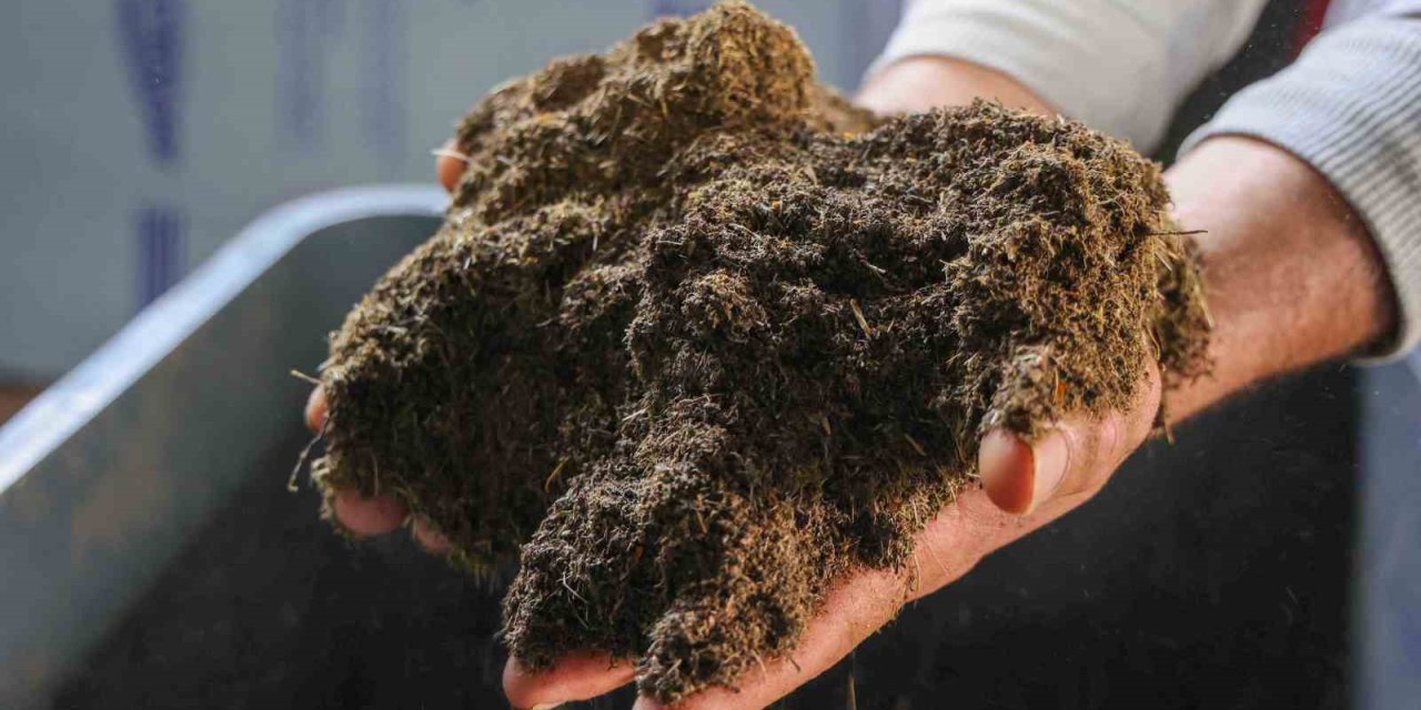 Pazar Yerlerinden Toplanan  Meyve Ve Sebzeler Gübre Olarak Değerlendirilecek