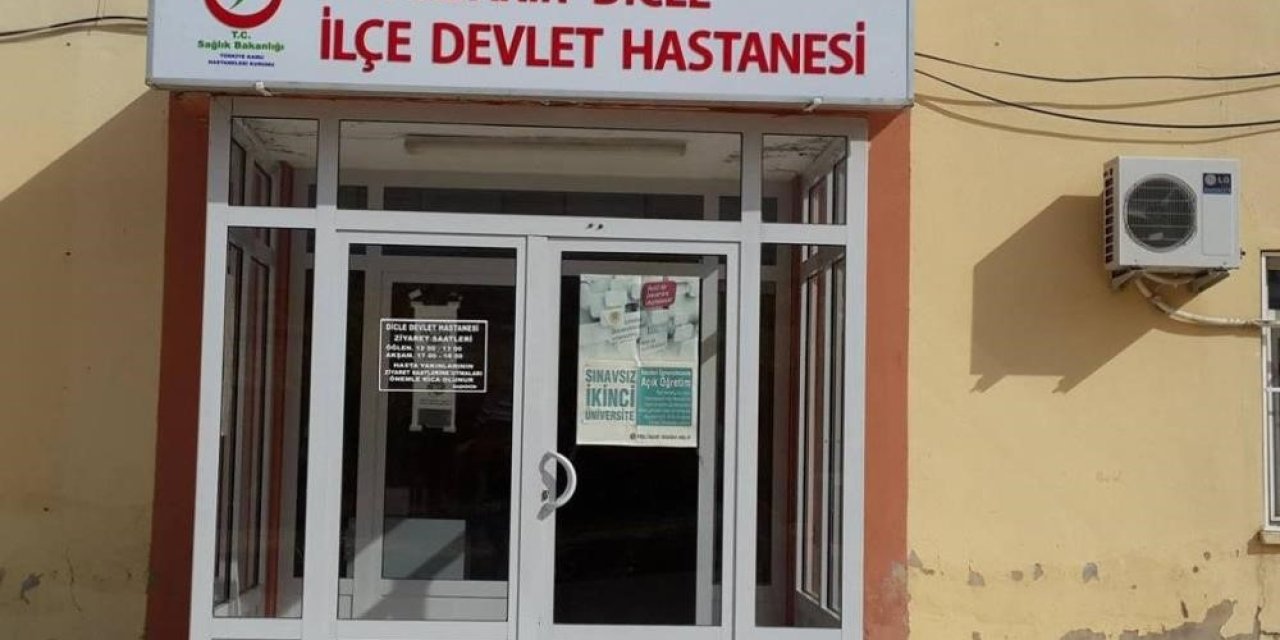 Diyarbakır’da Başıboş Köpek Tarafından Isırılan Kadın Yaralandı