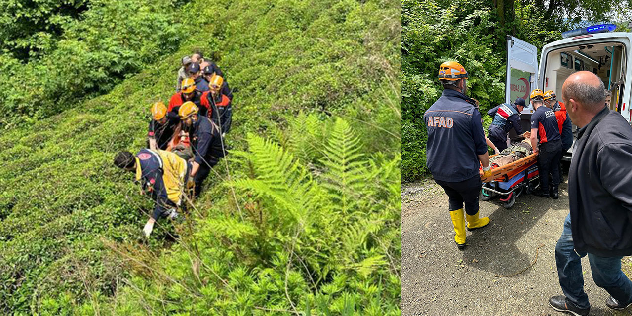 Rize'de kestiği ağacın altında kalıp yaralandı