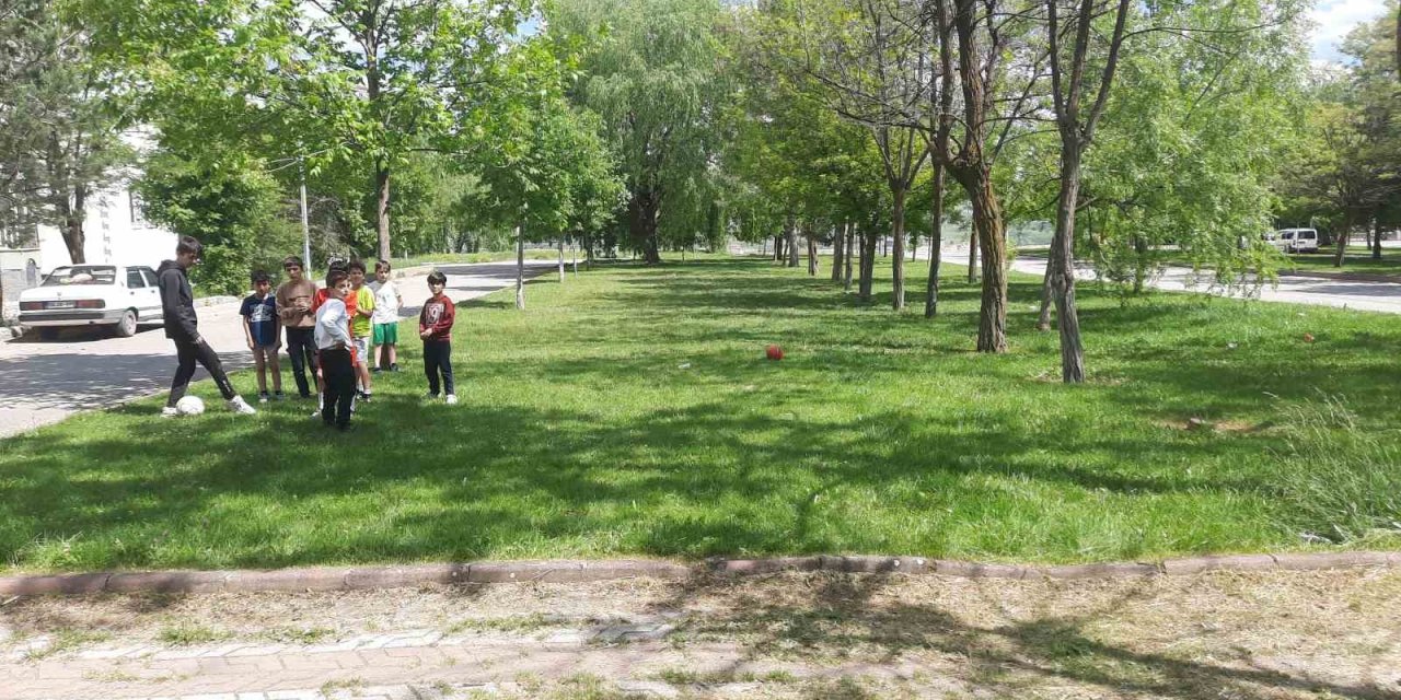 Başıboş Köpekler Sivas’ta Dehşet Saçtı