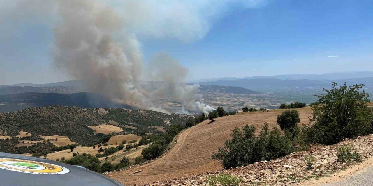 Manisa Valiliğinden Yangına İlişkin Açıklama