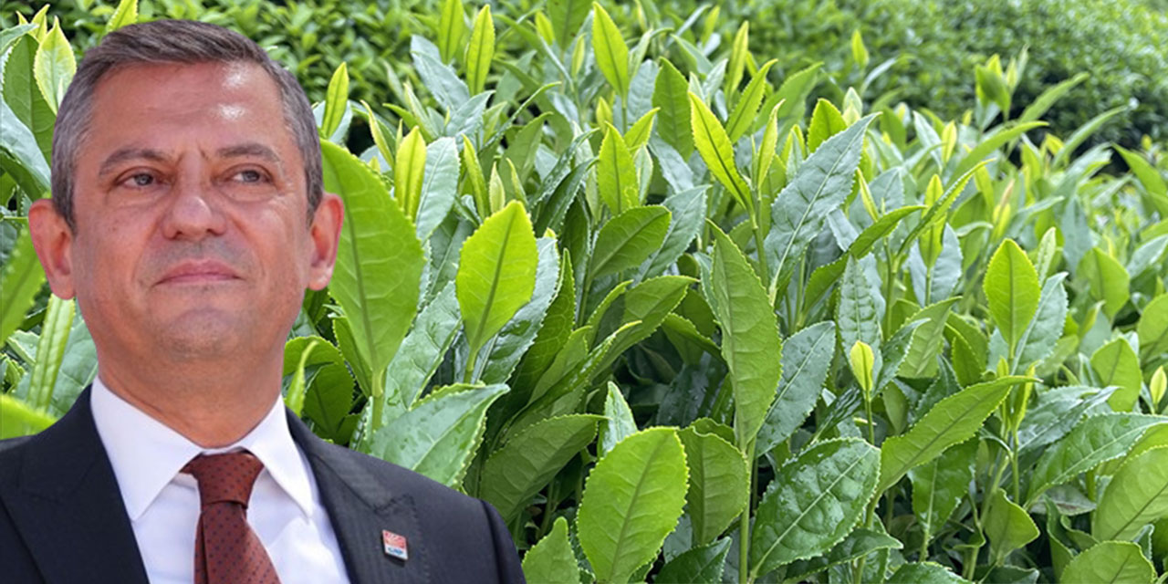 CHP Genel Başkanı Özgür Özel’in katılacağı Çay Mitingi yarın Rize’de düzenlenecek