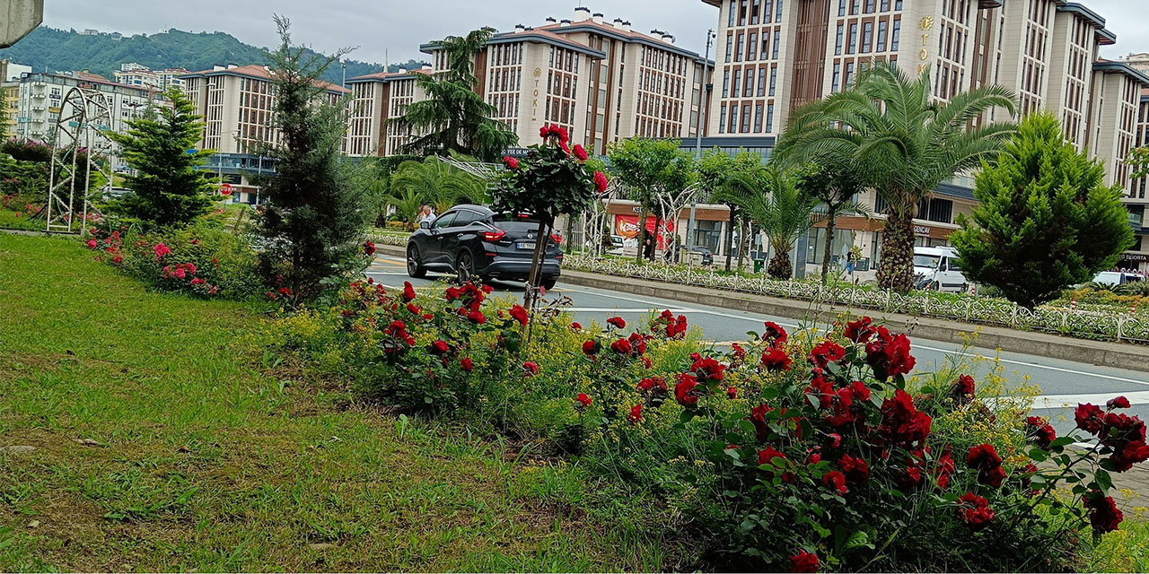 Rize'de Çevre Düzenleme Çalışmaları Şehre Renk Katıyor